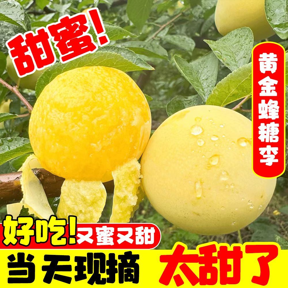 正宗黄金蜂糖李贵州四川冰糖李新鲜水果脱骨李子半边冰糖当季脆甜