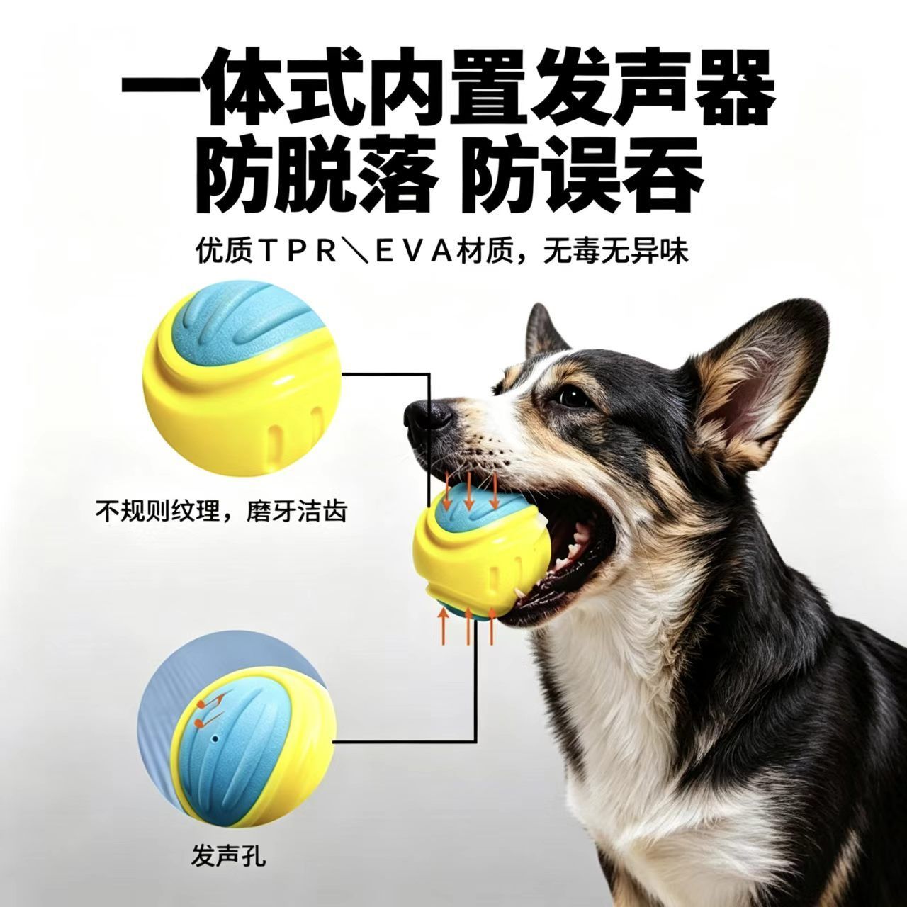 laroo莱诺蹦蹦球新款狗狗玩具户外发声洁齿磨牙耐咬中型犬大型犬