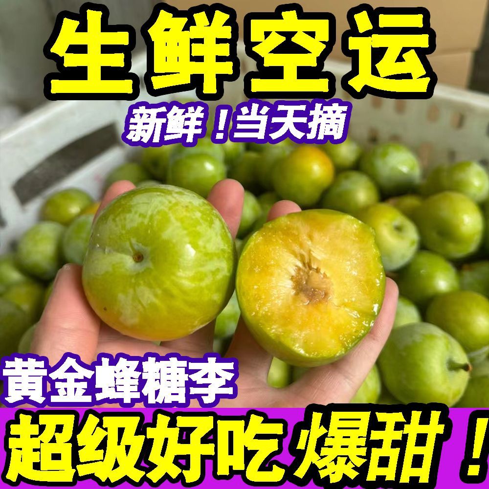 正宗贵州黄金蜂糖李当季新鲜水果李子脆甜脱骨李蜂蜜李一整箱批发 图片 8