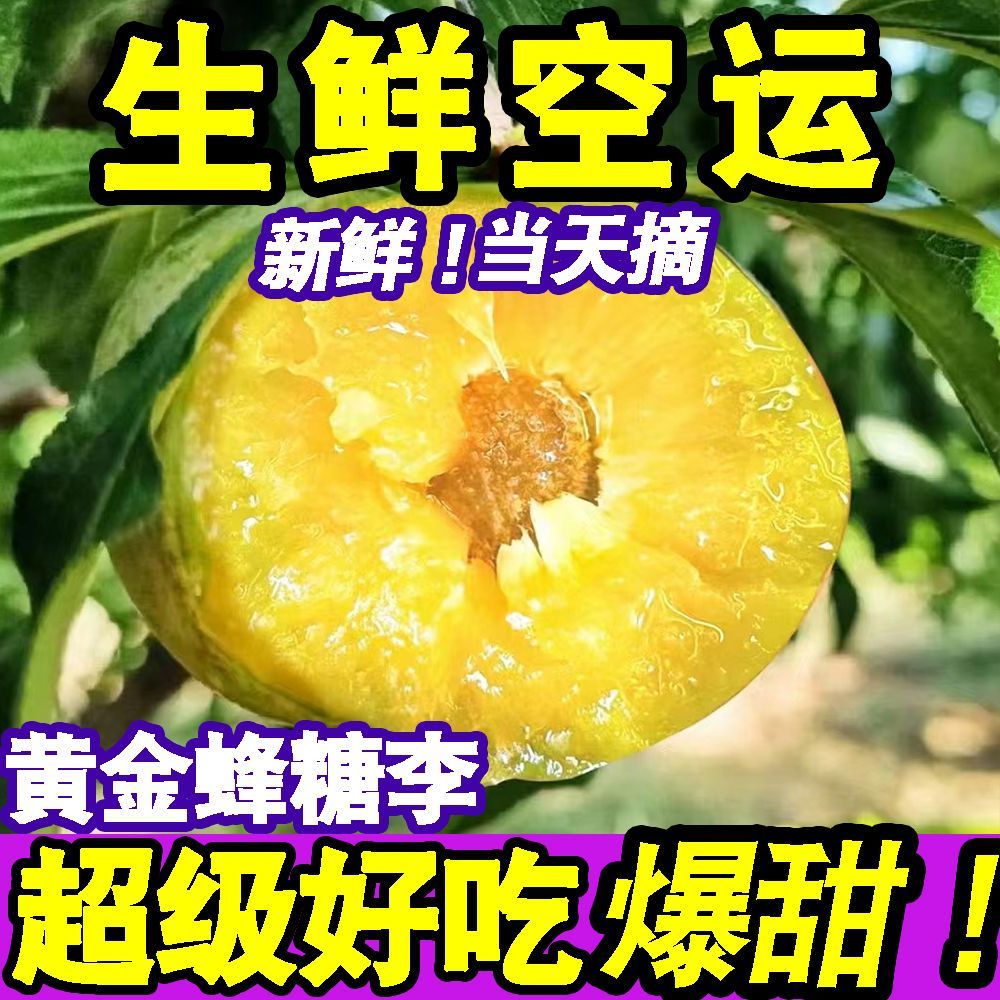 正宗贵州黄金蜂糖李当季新鲜水果李子脆甜脱骨李蜂蜜李一整箱批发 图片 2