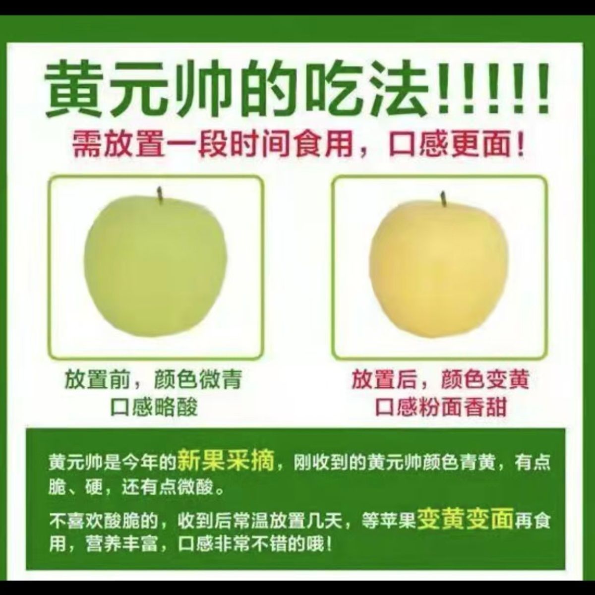 辽宁黄元帅苹果 酸甜脆水果 新鲜水果黄香蕉苹果坏果包赔 图片 7