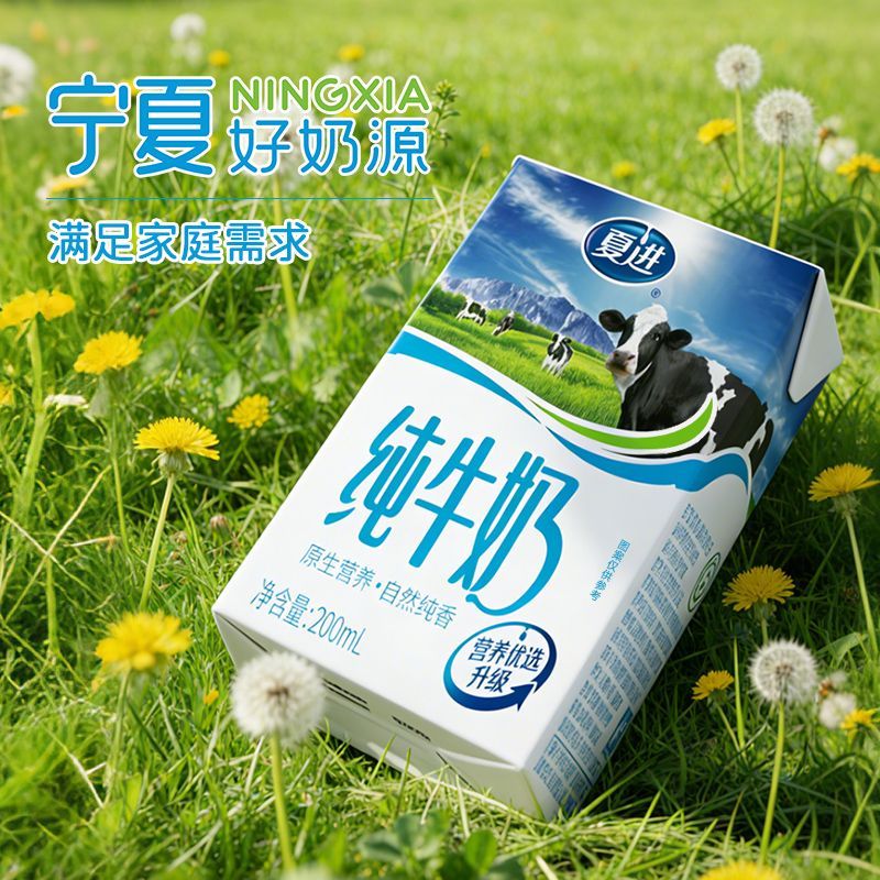 【官方正品】夏进纯牛奶200ml*24/整箱 源自宁夏奶源放心喝 4月产 图片 6