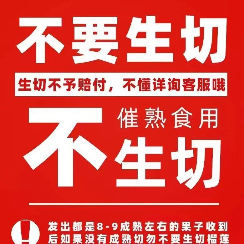【仓库直发】泰国进口新鲜金枕榴莲鲜果带壳软糯香甜枕头应季水果 图片 10