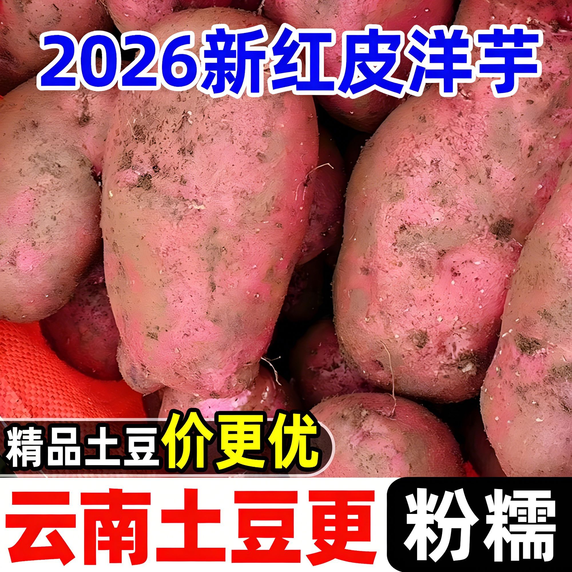 2026正宗云南红皮土豆现挖农家黄心洋芋马铃薯新鲜蔬菜批发 图片 9