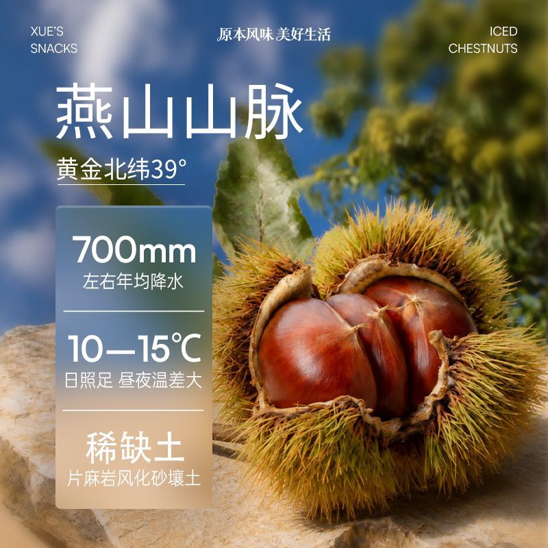 【冰袋】薛记炒货冰板栗430g/袋冷冻冰栗子香甜软糯夏日爽口零食 图片 2