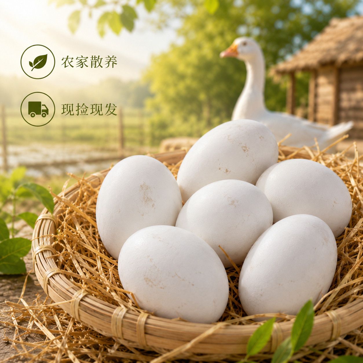 新鲜农家正宗河南鹅蛋大个营大鹅蛋包赔整箱包邮宝宝孕妇散养大白