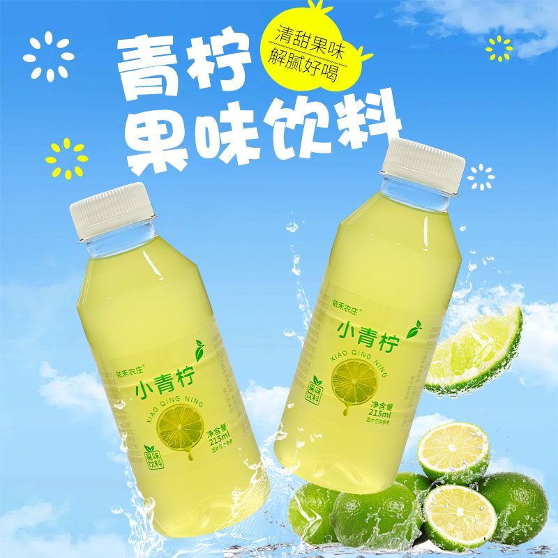 小青柠汁饮料整箱夏日解渴风味饮料解腻柠檬汁小青柠汁 图片 3