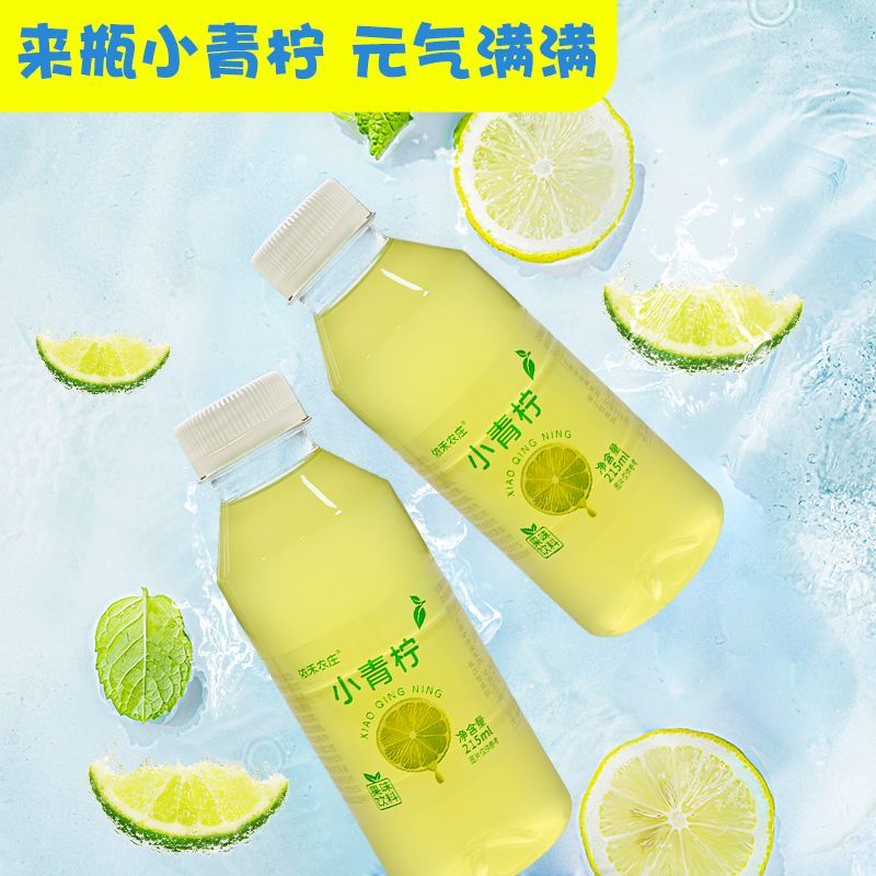 小青柠汁饮料整箱夏日解渴风味饮料解腻柠檬汁小青柠汁 图片 4