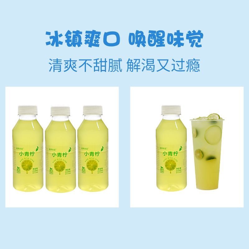 小青柠汁饮料整箱夏日解渴风味饮料解腻柠檬汁小青柠汁 图片 5