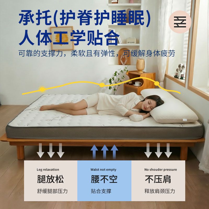 床垫加厚软垫家用双人榻榻米铺底床褥学生宿舍单人海绵垫出租屋垫 图片 5