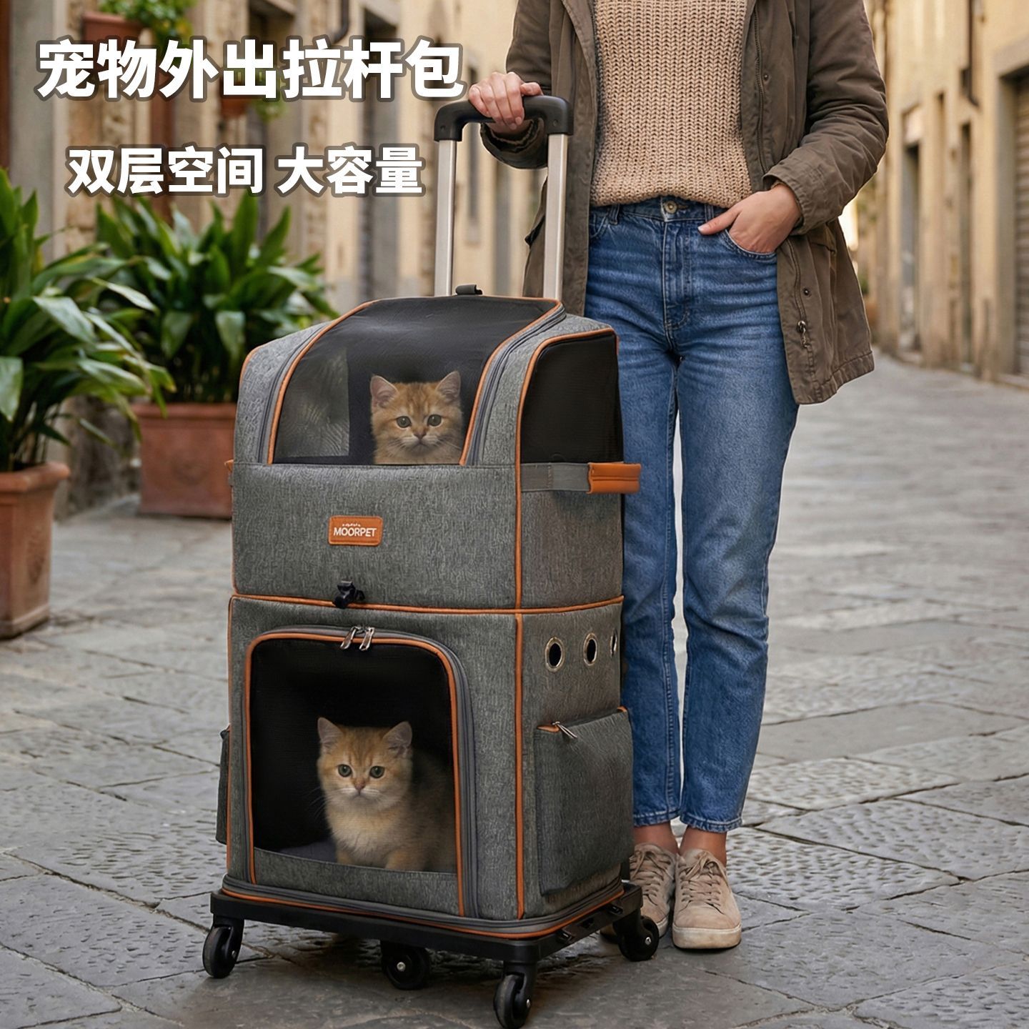 猫包便携外出宠物拉杆箱大容量双层猫包透气猫咪小体型犬背包双肩