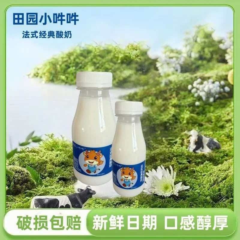 法式经典酸奶饮料200ml8瓶学生早餐整箱批发