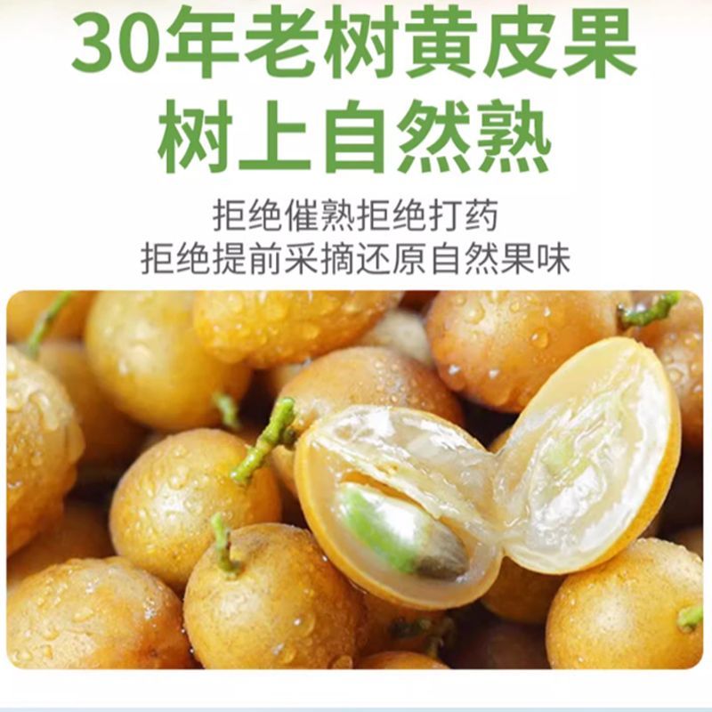 【顺丰包邮】广东特产鸡心黄皮果新鲜现摘孕妇酸甜水果当季可泡酒 图片 7