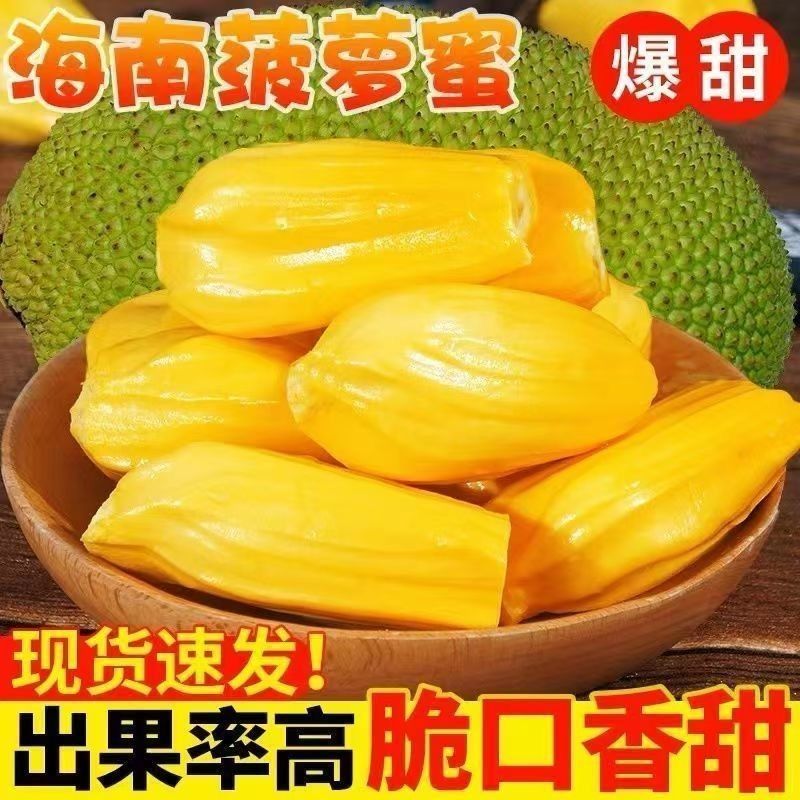 正宗海南菠萝蜜一整个新鲜水果包邮当季干苞黄肉菠萝蜜批发包邮 图片 7