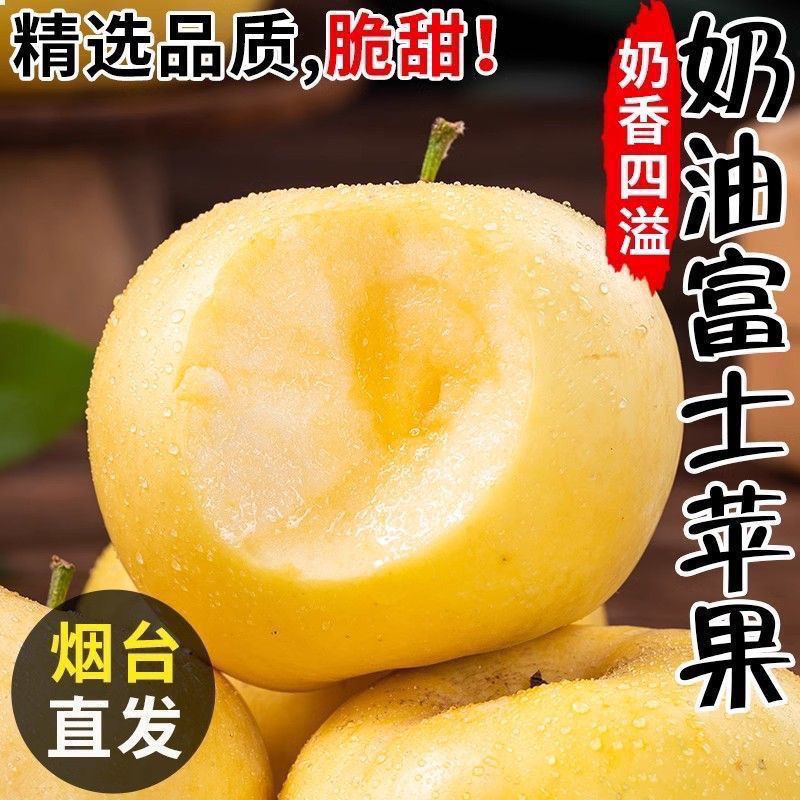 山东烟台黄金奶油富士苹果酸甜新鲜水果原产地酸甜苹果产地直发 图片 7