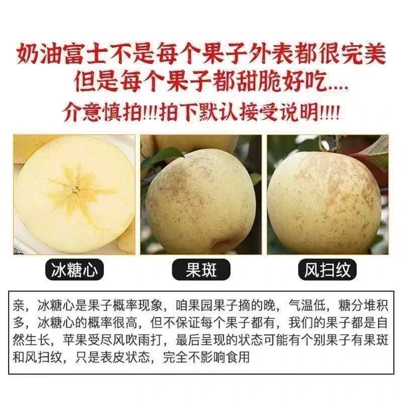 山东烟台黄金奶油富士苹果酸甜新鲜水果原产地酸甜苹果产地直发 图片 2