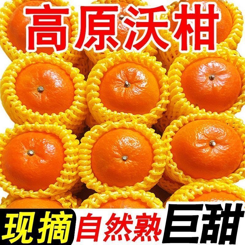 5斤新鲜沃柑正宗云南柑橘当季新鲜甜桔子新鲜水果橘子整箱批发 图片 2