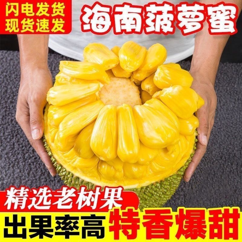 正宗海南菠萝蜜一整个新鲜水果包邮当季干苞黄肉菠萝蜜批发包邮 图片 2