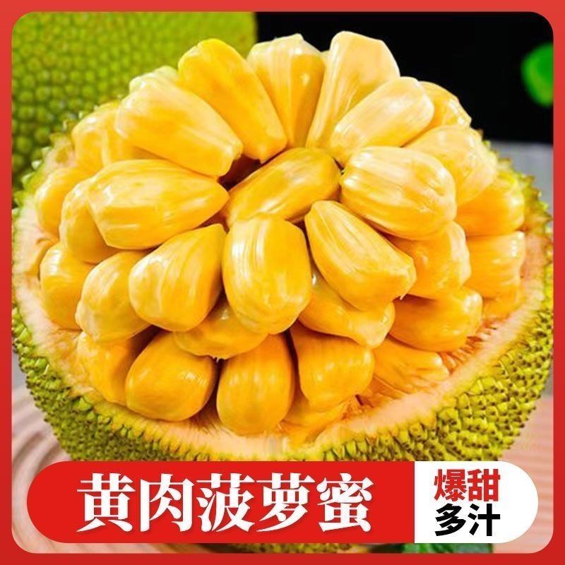 正宗海南菠萝蜜一整个新鲜水果包邮当季干苞黄肉菠萝蜜批发包邮 图片 5