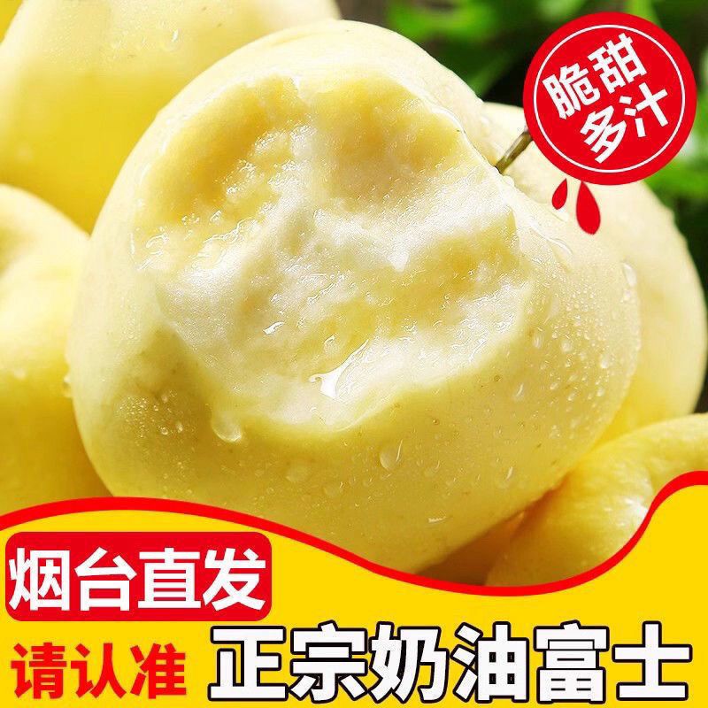 山东烟台黄金奶油富士苹果酸甜新鲜水果原产地酸甜苹果产地直发 图片 8
