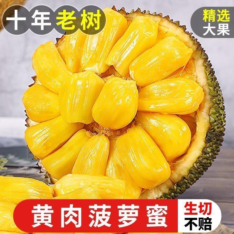 正宗海南菠萝蜜一整个新鲜水果包邮当季干苞黄肉菠萝蜜批发包邮 图片 6