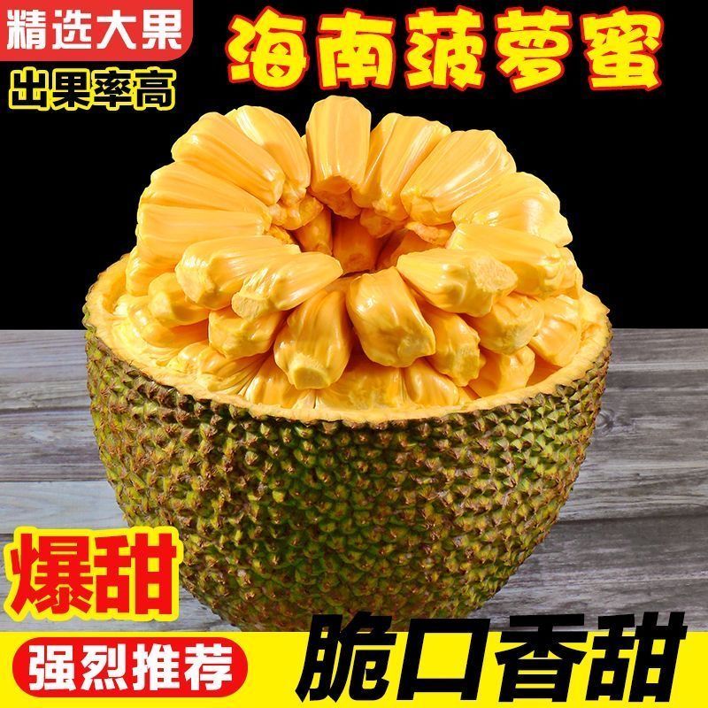 正宗海南菠萝蜜一整个新鲜水果包邮当季干苞黄肉菠萝蜜批发包邮 图片 4