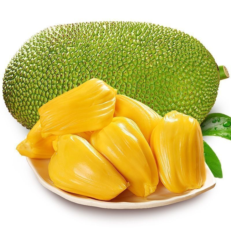 正宗海南菠萝蜜一整个新鲜水果包邮当季干苞黄肉菠萝蜜批发包邮 图片 9