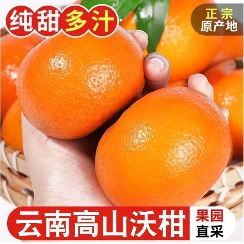 5斤新鲜沃柑正宗云南柑橘当季新鲜甜桔子新鲜水果橘子整箱批发