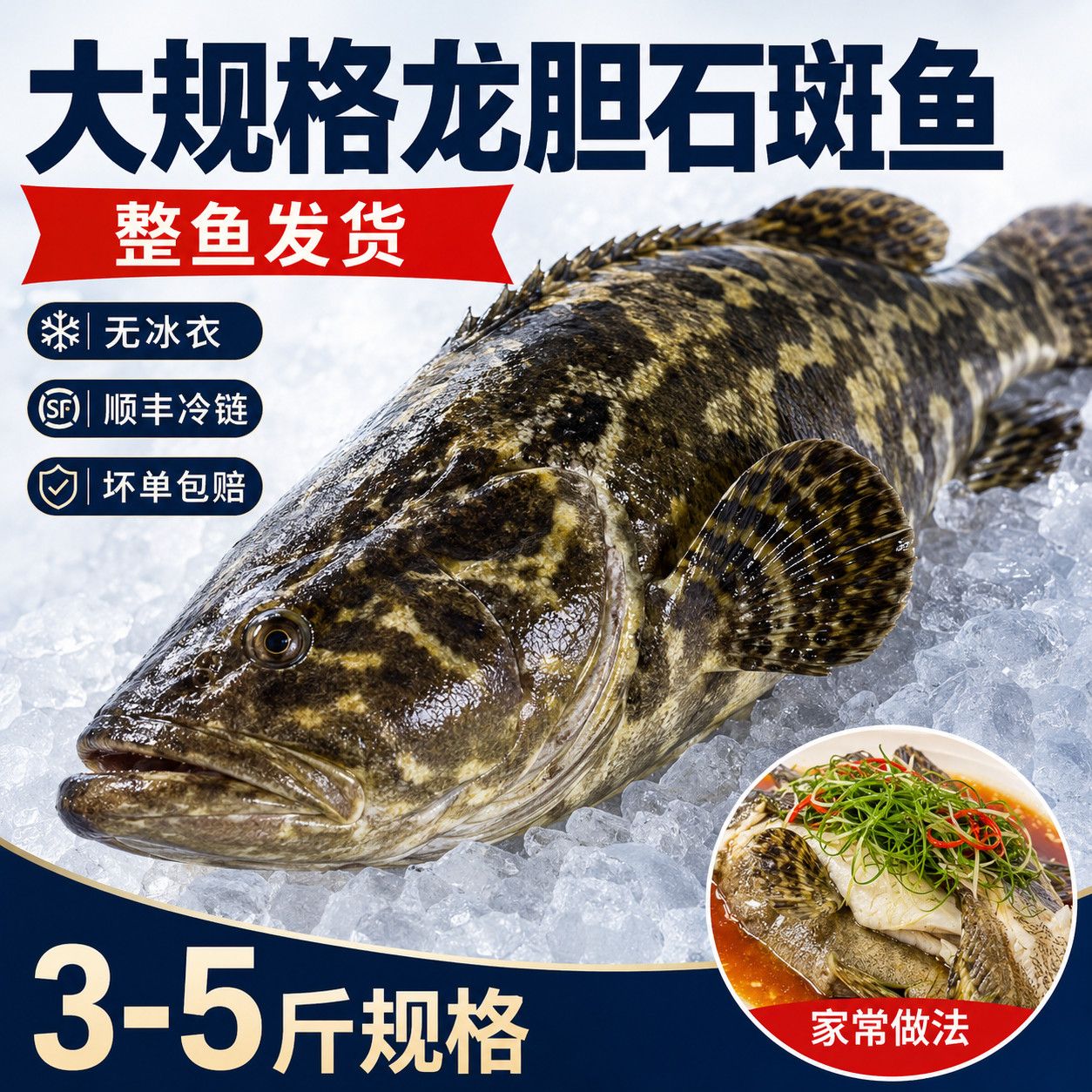 东山岛特大活冻龙胆石斑鱼活鱼活冻龙胆石斑鱼老虎斑珍珠斑顺丰