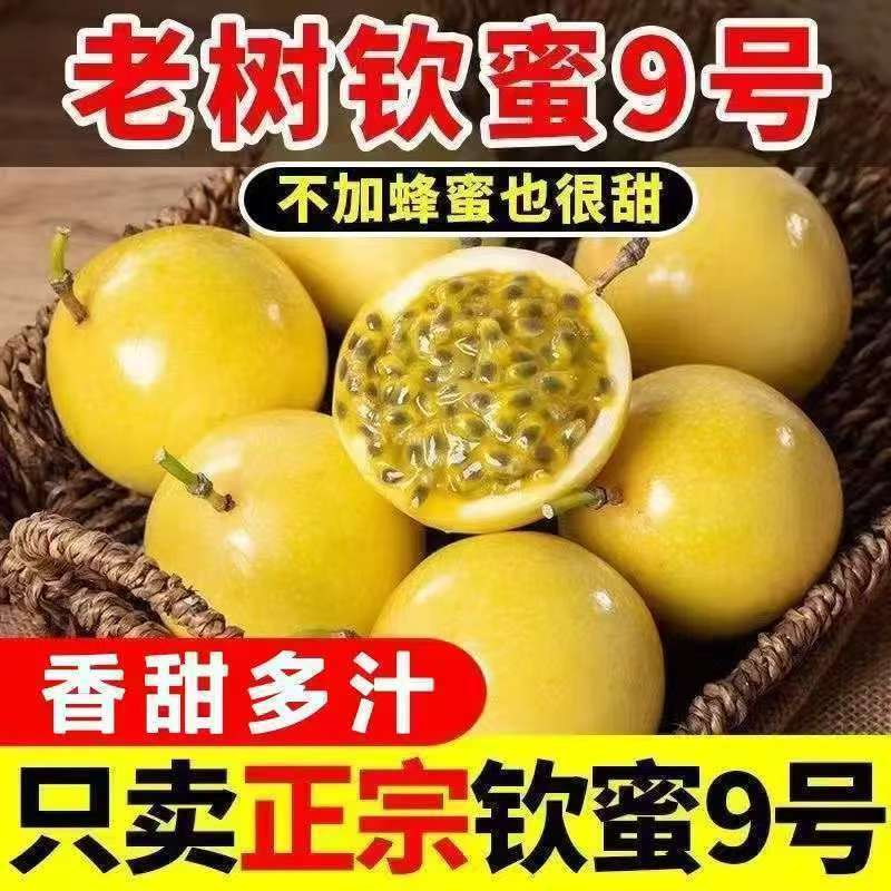 【两广新果】正宗广西钦蜜9号黄金百香果新鲜孕妇应季当季水果