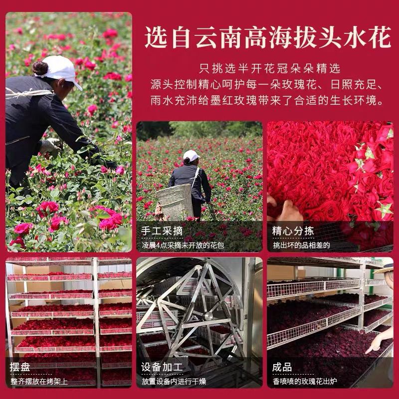 云南正品头茬冻干墨红玫瑰花茶干玫瑰花大朵花茶特级无硫新鲜干花 图片 2