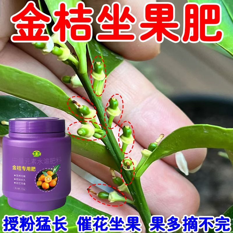 金桔专用肥料金桔树专用营养液金桔保花保果防落果催芽防叶子发黄