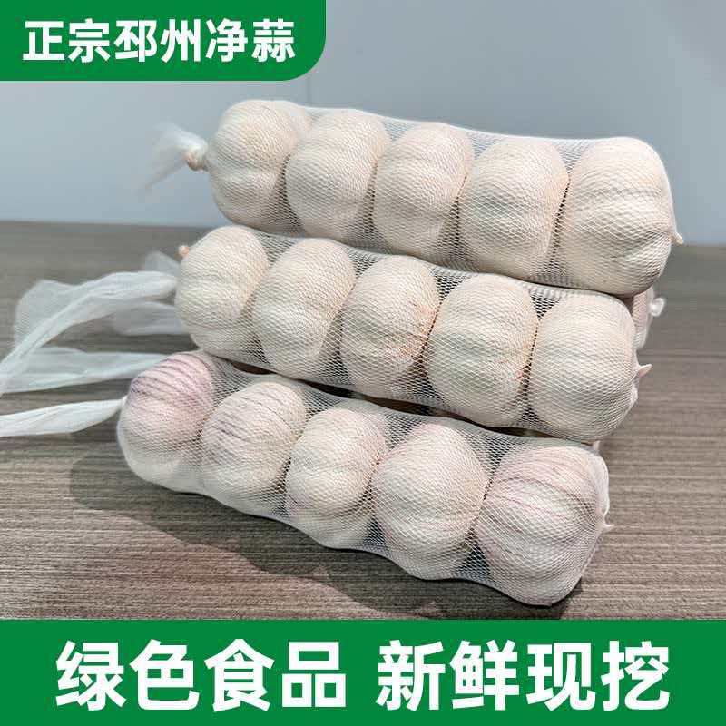【超划算】2026新邳州大蒜精选大蒜新干蒜大蒜头精选紫白皮