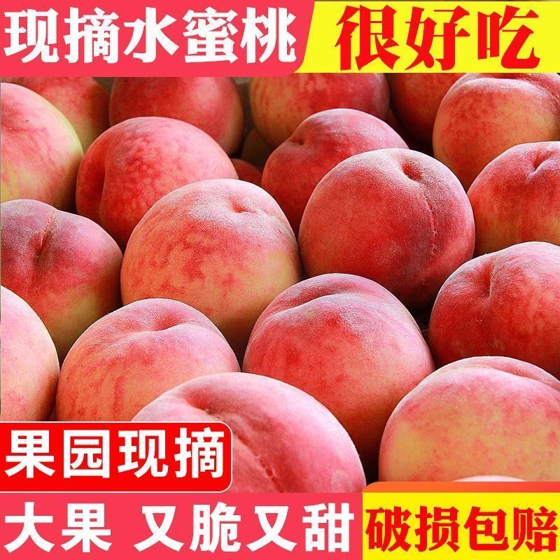 正宗水蜜桃毛桃桃子新鲜当季孕妇水果现摘鲜桃脆桃蜜桃整箱批发价 图片 2