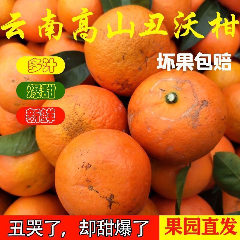 现货带箱910斤正宗广西武鸣沃柑当季新鲜水果整箱清甜子橘子