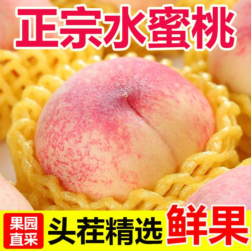 正宗水蜜桃毛桃桃子新鲜当季孕妇水果现摘鲜桃脆桃蜜桃整箱批发价 图片 3