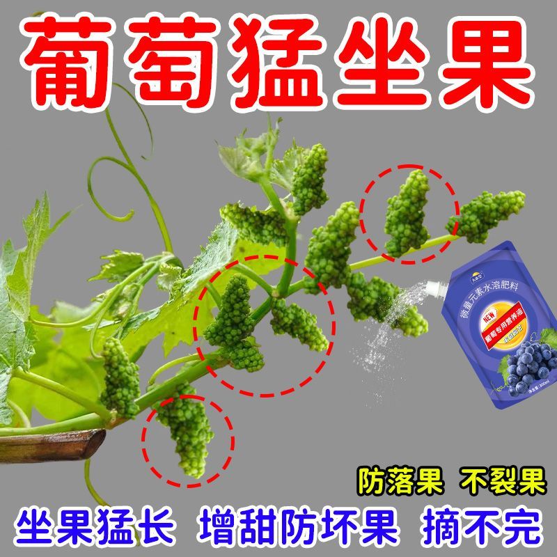 坐果满枝葡萄营养液专用肥缓释肥有机微量元素葡萄催芽促果氮肥