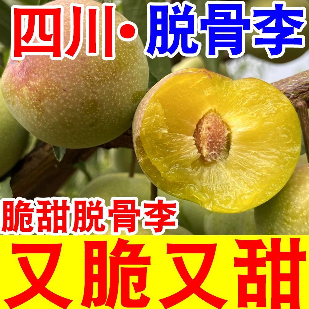 【脆甜】正宗脆甜脱骨李子当季新鲜水果四川脱骨青脆李五月脆李子 图片 3