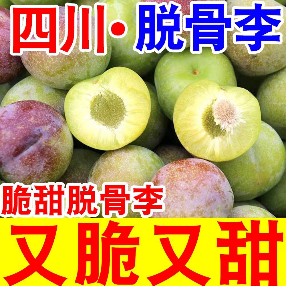 脆甜正宗脆甜脱骨李子当季新鲜水果四川脱骨青脆李五月脆李子
