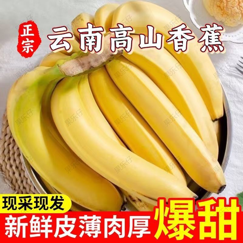 【新客立减】正宗云南高山香蕉新鲜现摘青果原生态包邮批发 图片 5