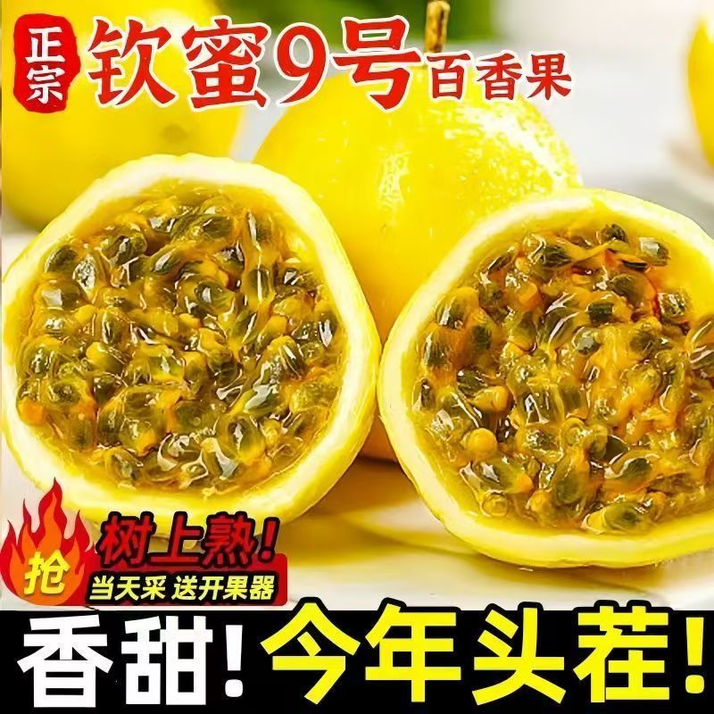 钦蜜9号黄金百香果酸甜多汁当季新鲜水果现摘黄皮果新鲜百香果 图片 2