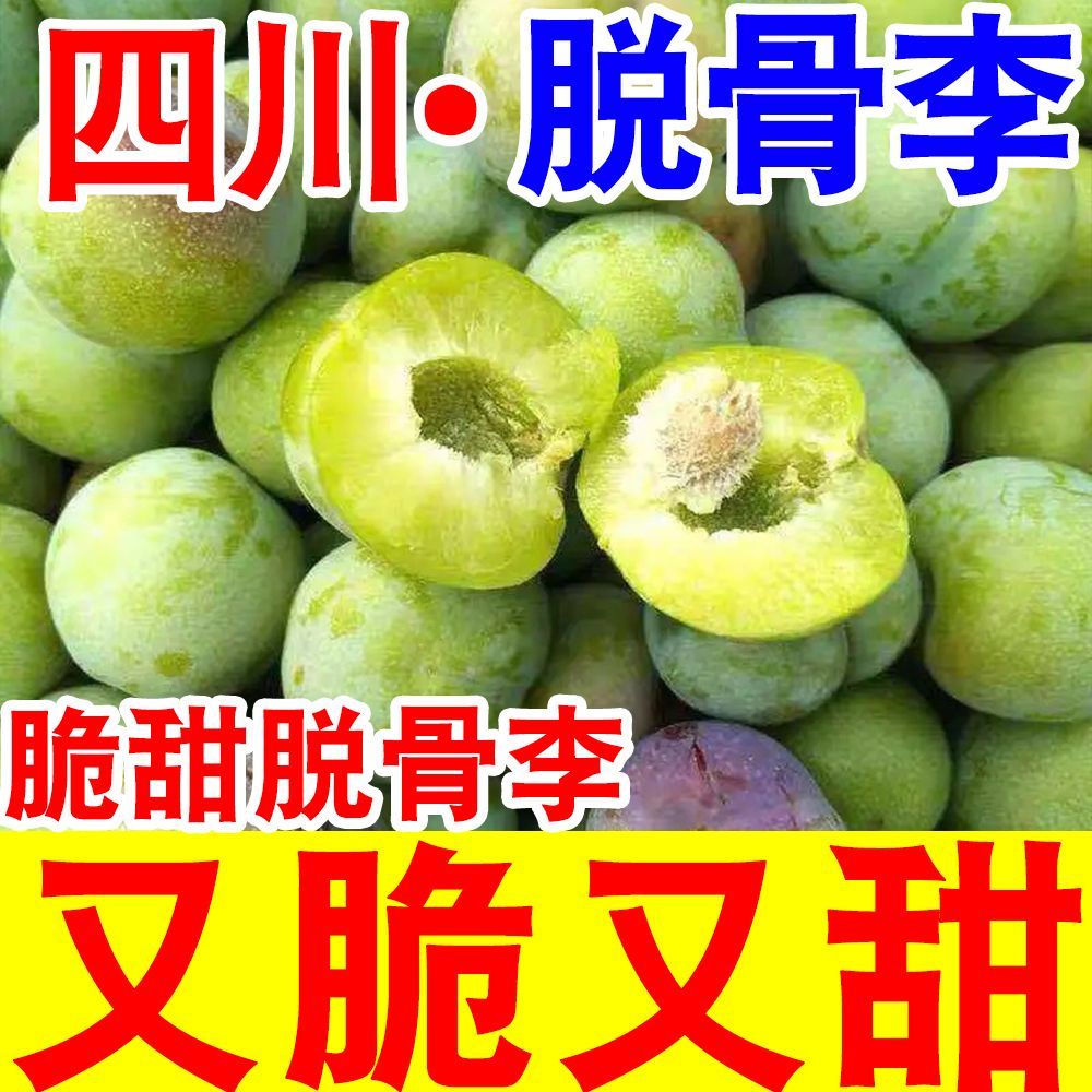 【脆甜】正宗脆甜脱骨李子当季新鲜水果四川脱骨青脆李五月脆李子 图片 6