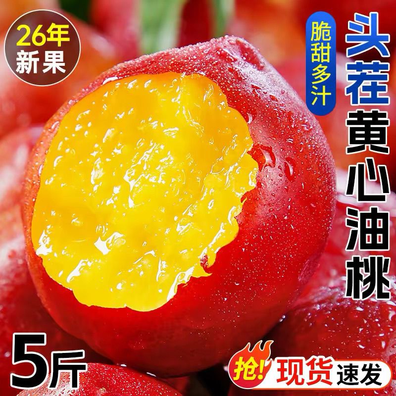 稀有品种香脆甜陕西秦岭新鲜黄心油桃当季孕妇桃子黄肉现摘批发