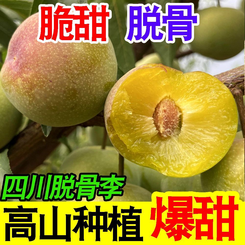 正宗四川脱骨李当季新鲜水果应季四川脆甜五月脆李子贵州青脆李