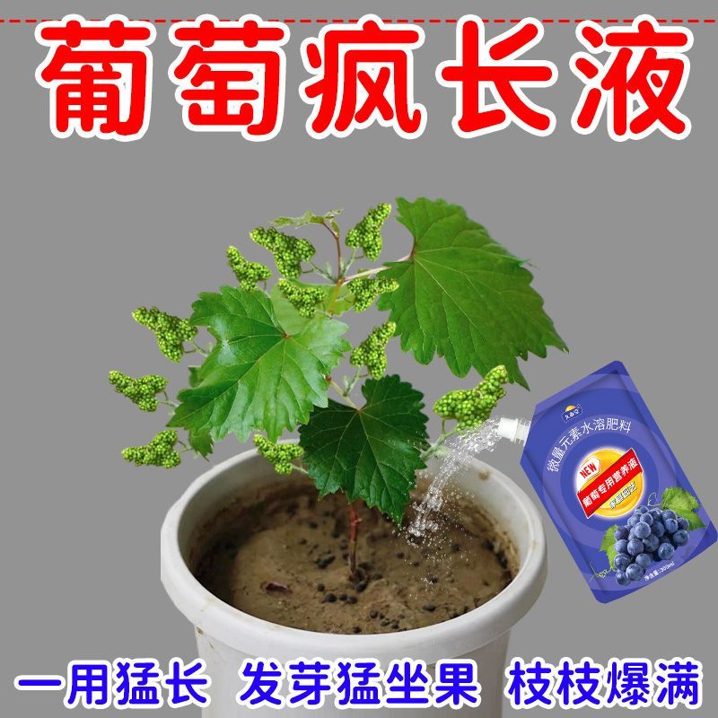 光杆急救】葡萄专用营养液挂果增甜膨果补充营养促生长专用液体肥 图片 3