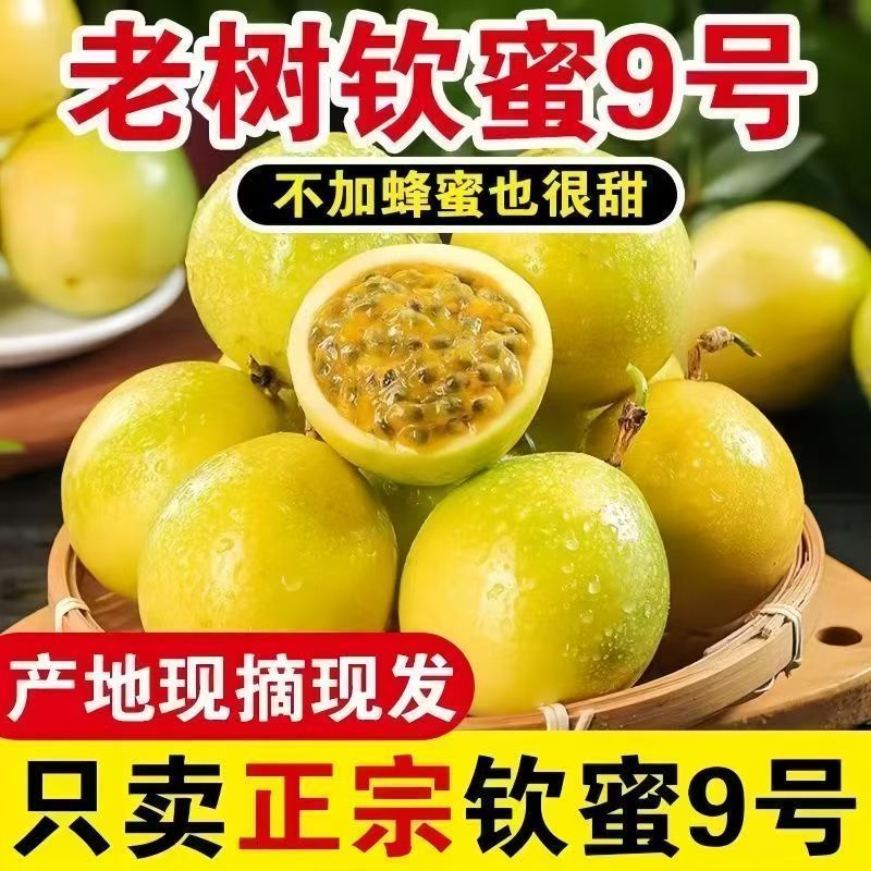 钦蜜9号黄金百香果酸甜多汁当季新鲜水果现摘黄皮果新鲜百香果 图片 4