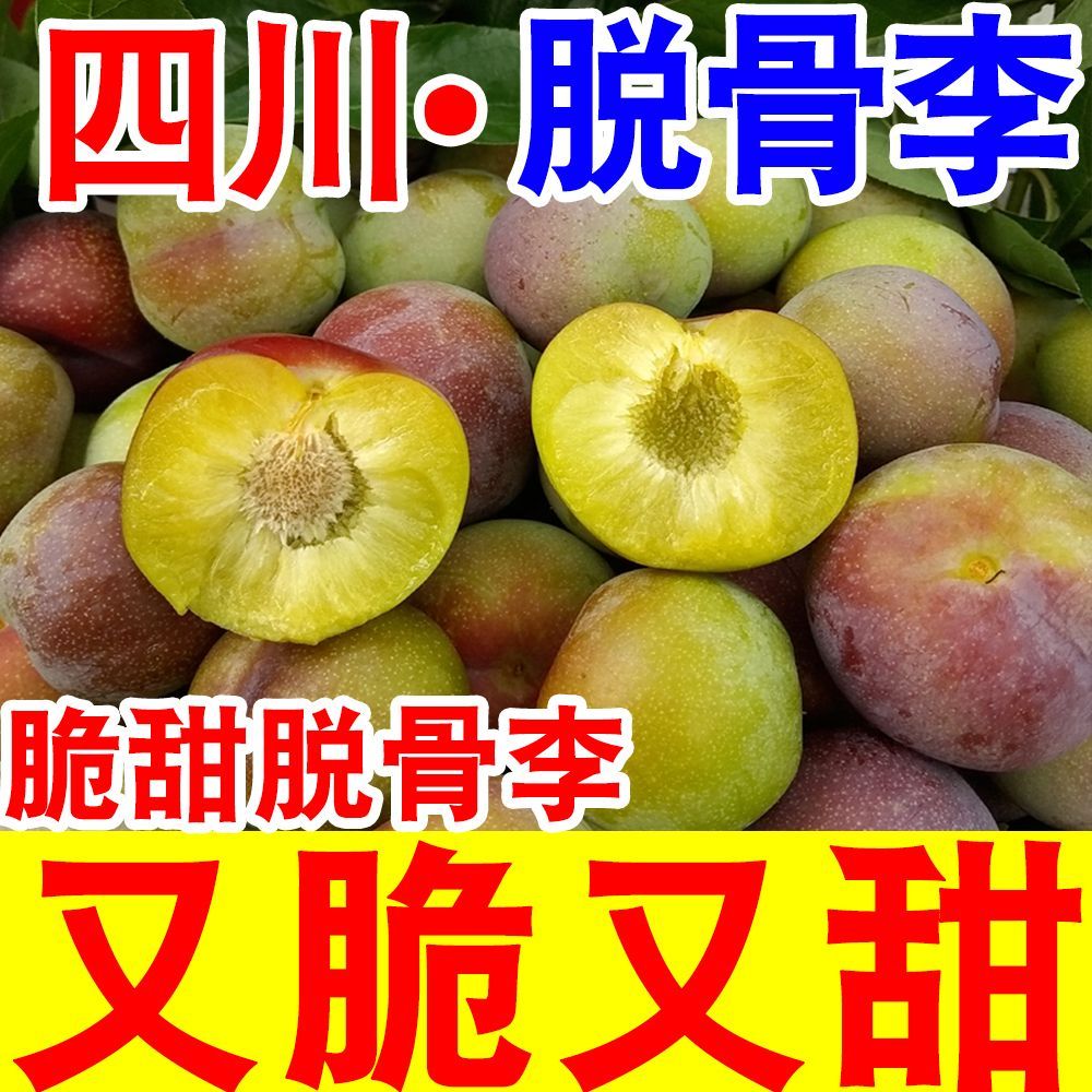 【脆甜】正宗脆甜脱骨李子当季新鲜水果四川脱骨青脆李五月脆李子 图片 7