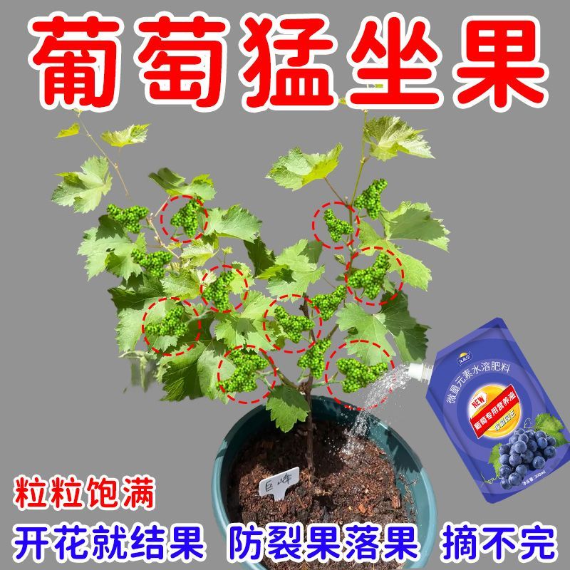 光杆急救葡萄专用营养液挂果增甜膨果补充营养促生长专用液体肥