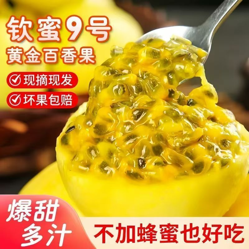 钦蜜9号黄金百香果酸甜多汁当季新鲜水果现摘黄皮果新鲜百香果 图片 5