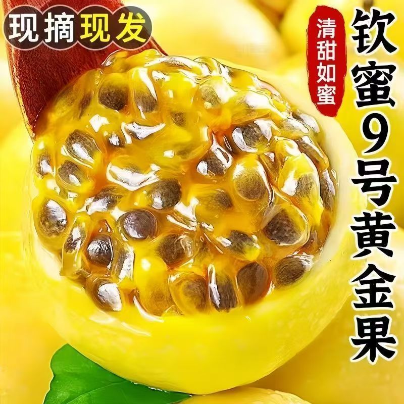 钦蜜9号黄金百香果酸甜多汁当季新鲜水果现摘黄皮果新鲜百香果